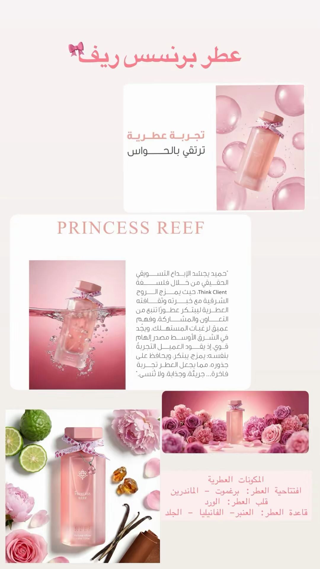 بكج PRINCESS REEF